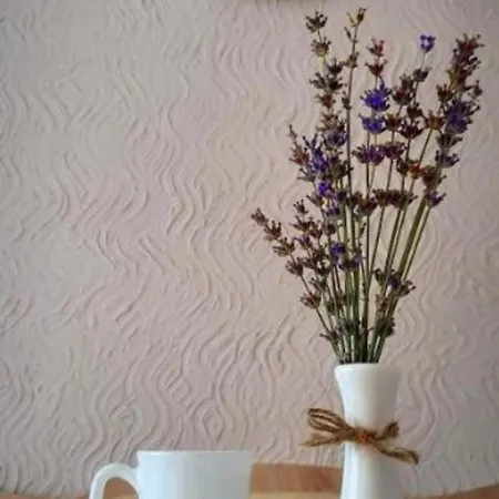 Rest 33 Holiday home Odesa